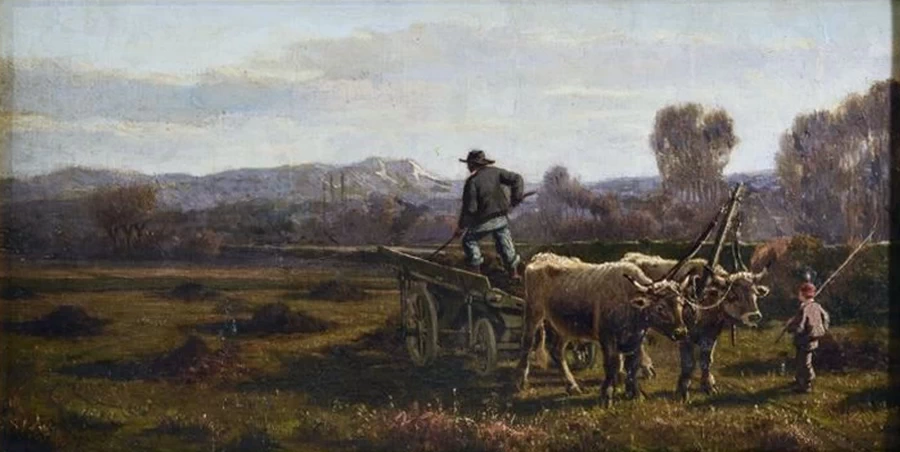 La concimatura